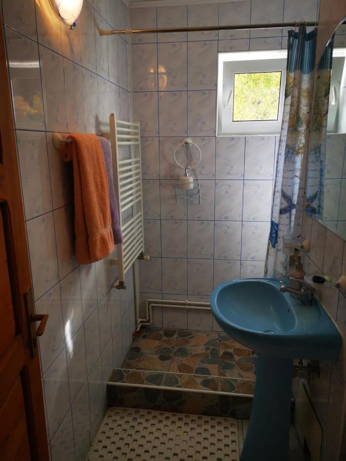 Apartament Langa Castan Appartamento Azuga Esterno foto