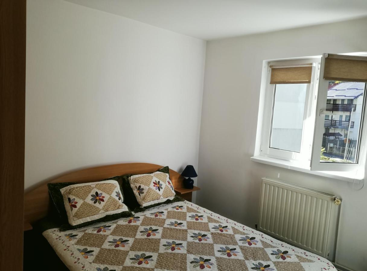 Apartament Langa Castan Appartamento Azuga Esterno foto