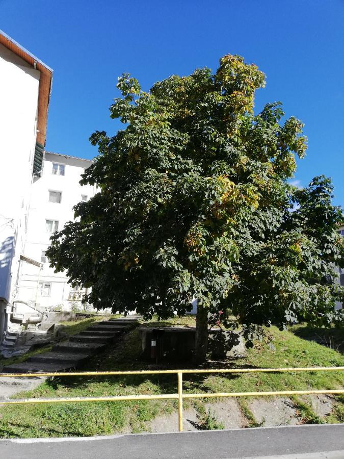 Apartament Langa Castan Appartamento Azuga Esterno foto